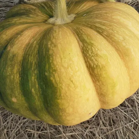 Дом отдыха La Metairie Basse Cayriech