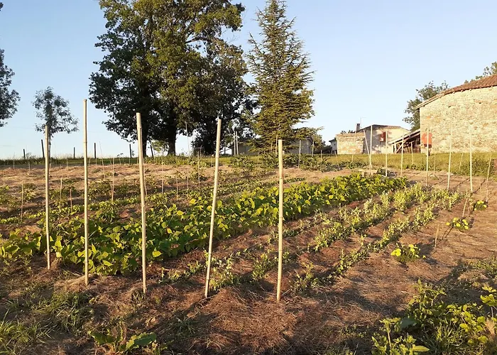 La Metairie Basse Cayriech