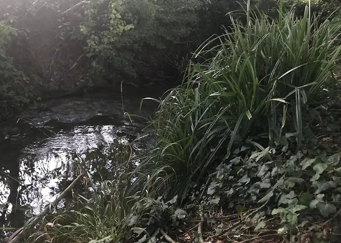 Ferienhaus La Metairie Basse Cayriech